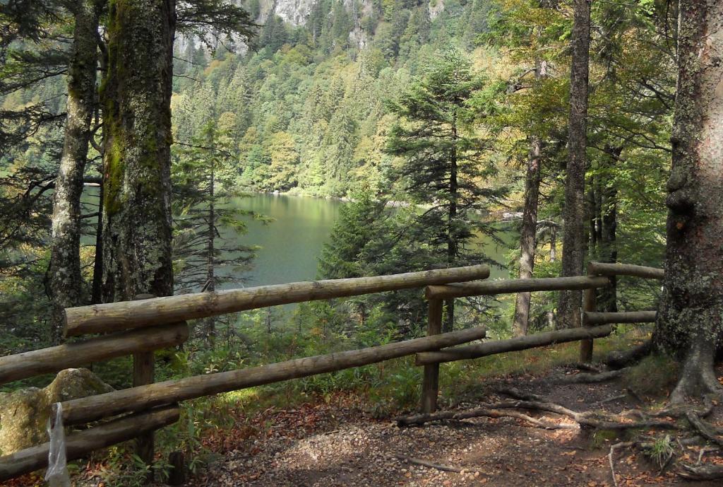 Gaestehaus Behabuehl Feldberg  Luaran gambar