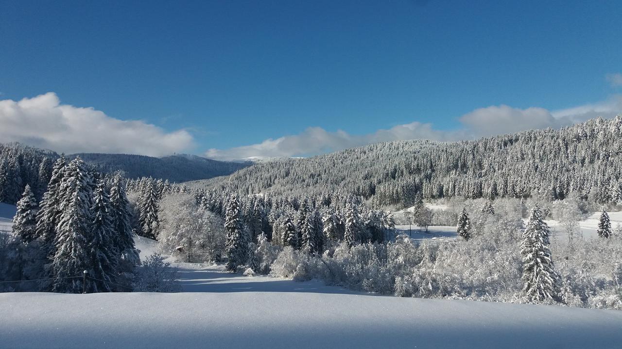 Gaestehaus Behabuehl Feldberg  Luaran gambar