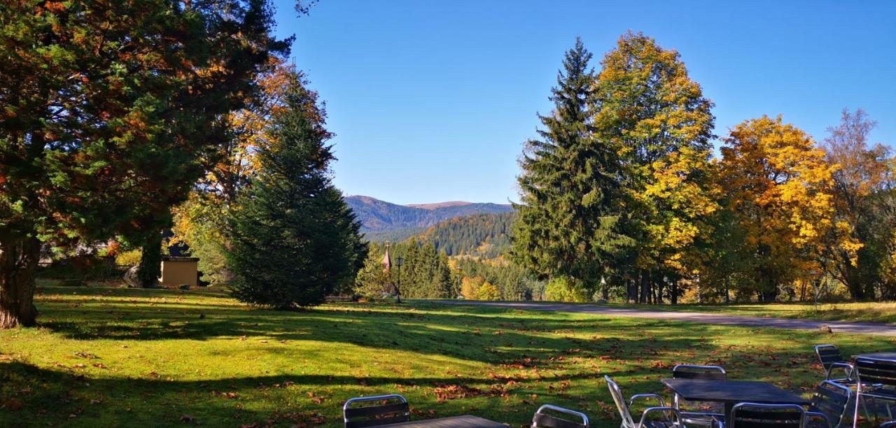Gaestehaus Behabuehl Feldberg  Luaran gambar